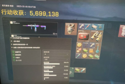 三角洲行动金枝叶外挂